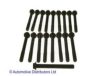 NISSA 1105609D61 Bolt Kit, cylinder head